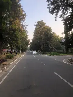 Panjab University Chandigarh Campus photo 9